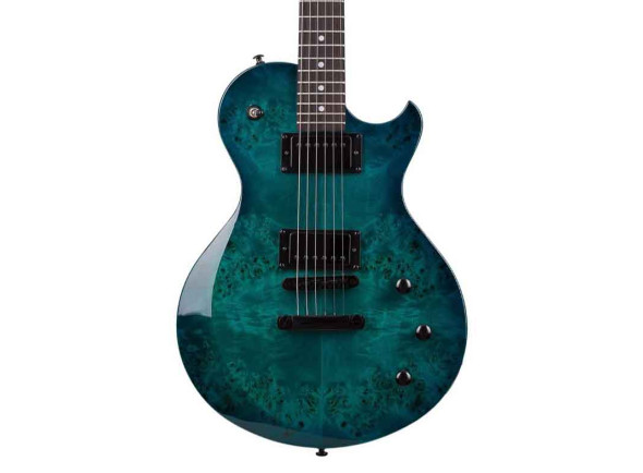 Schecter Schecter
